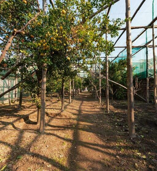 Апартаменты 1 Спальня Вид на Сад, Pane E Marmellata