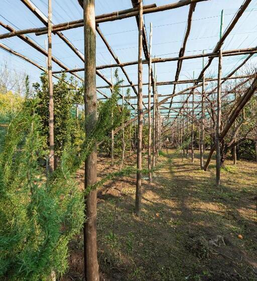 Апартаменты 1 Спальня Вид на Сад, Pane E Marmellata