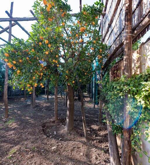Апартаменты 1 Спальня Вид на Сад, Pane E Marmellata