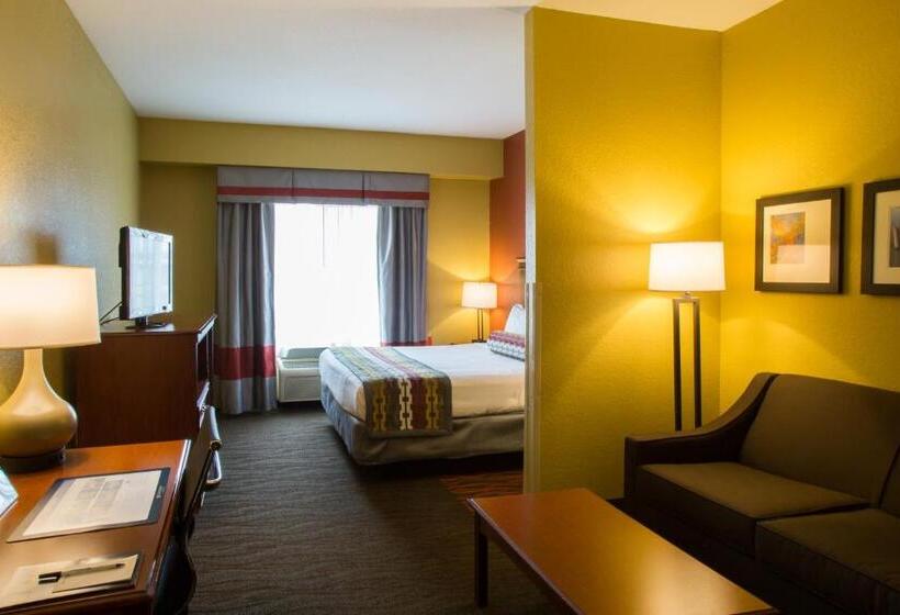 Стандартный Номер Кровать Кинг, Best Western Executive Inn & Suites