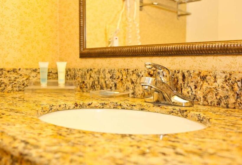 Номер Стандарт Адаптированный для Инвалидов, Best Western Executive Inn & Suites