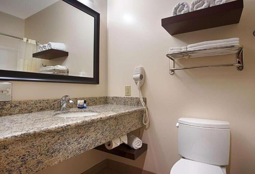 Стандартный Номер Кровать Кинг, Best Western Plus Finger Lakes Inn & Suites