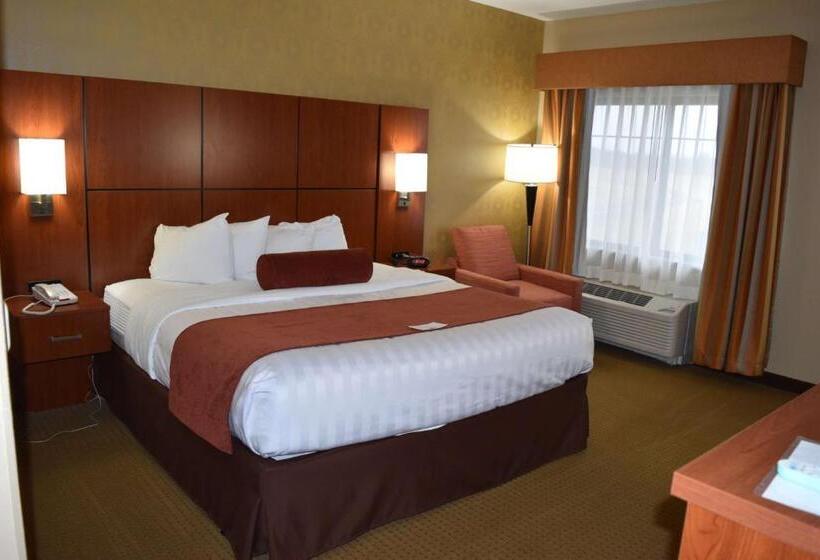 Номер Стандарт Кровать Кинг Адаптированный для Инвалидов, Best Western Plus Finger Lakes Inn & Suites