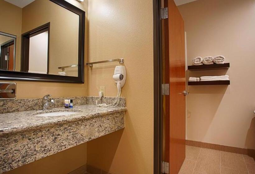 Стандартный Номер Кровать Кинг, Best Western Plus Finger Lakes Inn & Suites