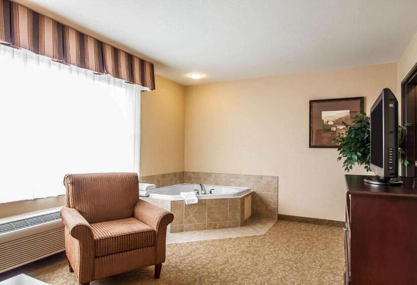 Люкс Кровать Кинг, Comfort Inn & Suites Mcminnville Wine Country
