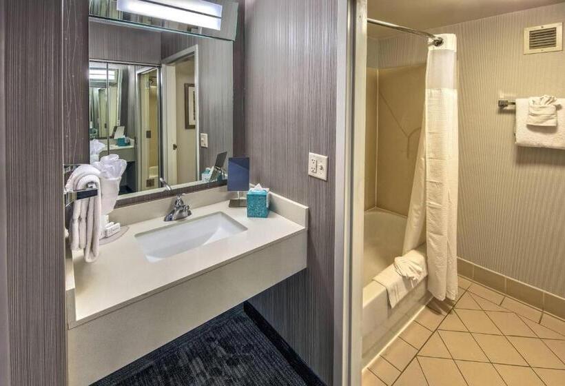 스탠다드 룸 더블 침대 2개, Courtyard By Marriott Springfield