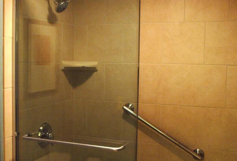 اتاق استاندارد با تخت بزرگ, Hyatt Place Reno/tahoe Airport
