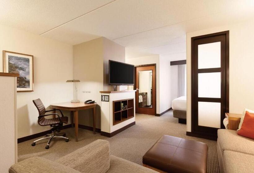 اتاق استاندارد با تخت بزرگ, Hyatt Place Reno/tahoe Airport