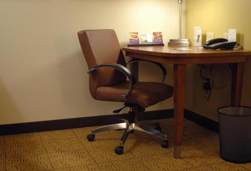 اتاق استاندارد برای معلولان, Hyatt Place Reno/tahoe Airport