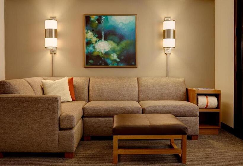اتاق استاندارد برای معلولان, Hyatt Place Reno/tahoe Airport