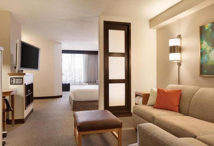 اتاق استاندارد برای معلولان, Hyatt Place Reno/tahoe Airport