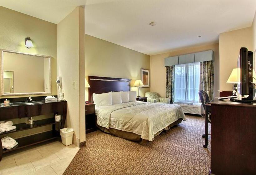 Стандартный Номер Кровать Кинг, Magnolia Inn And Suites Pooler