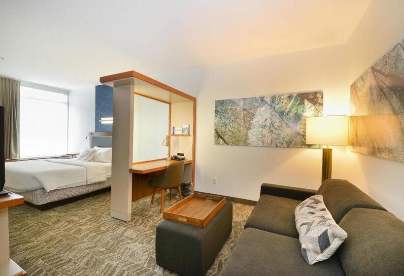 Студио Стандарт Кровать Кинг, Springhill Suites By Marriott Grand Forks