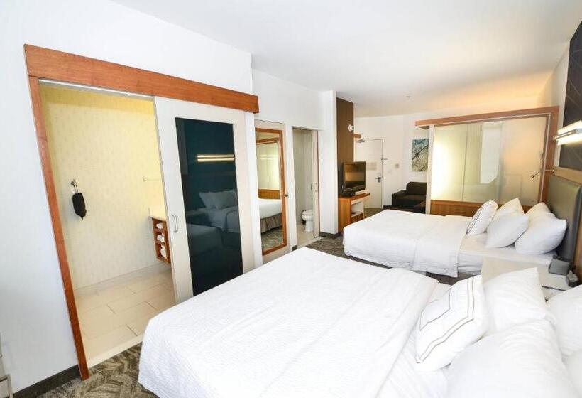 Студия Стандарт, Springhill Suites By Marriott Grand Forks