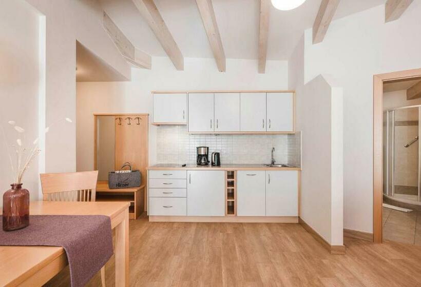 Студия Стандарт, Residence Hirzer