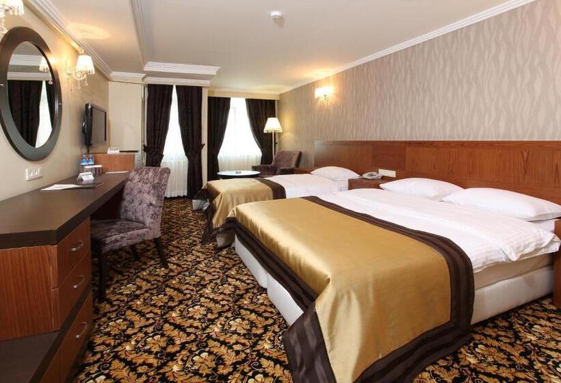 Номер Стандарт, Arya Hotel Sakarya
