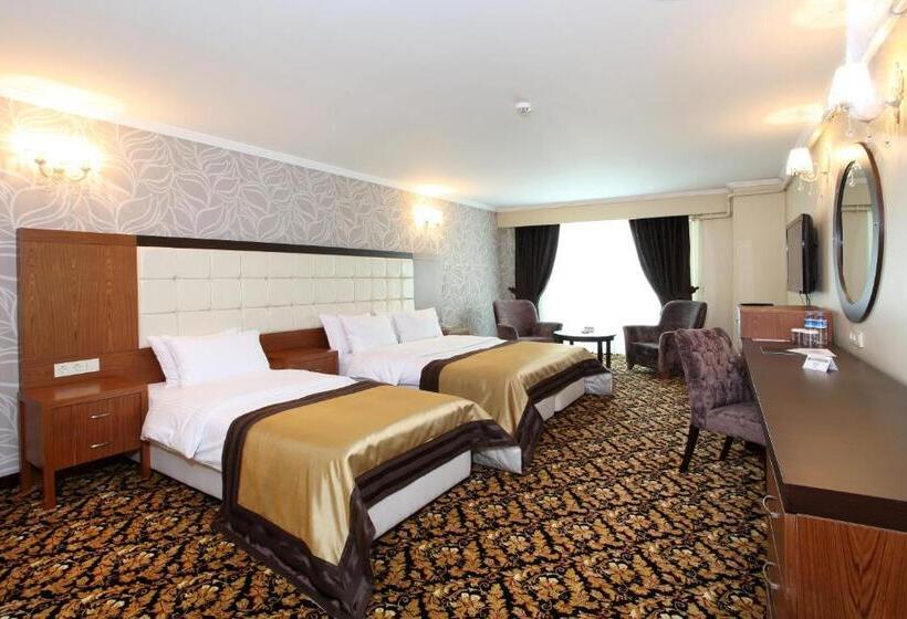 Люкс, Arya Hotel Sakarya