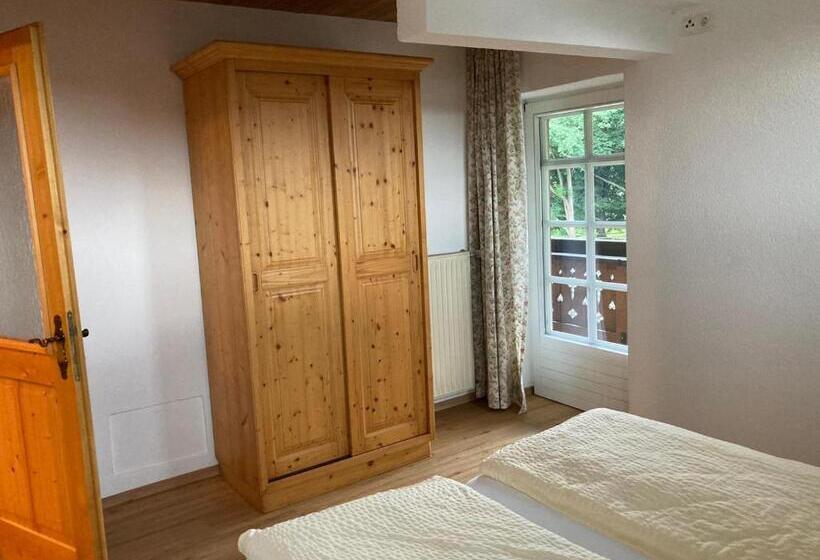 带1个卧室的公寓, Hanserhof