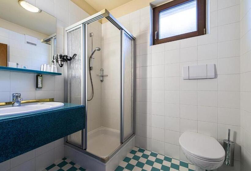 Люкс, Alphotel Stocker Alpine Wellness