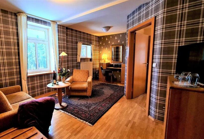 Номер Стандарт, Ferien Residenz Thüringer Wald