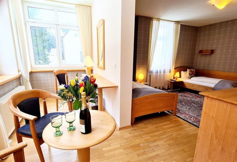Номер Стандарт, Ferien Residenz Thüringer Wald