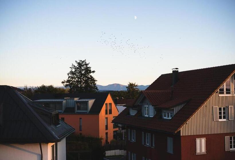 스탠다드 룸, Engelberg 24h Check In