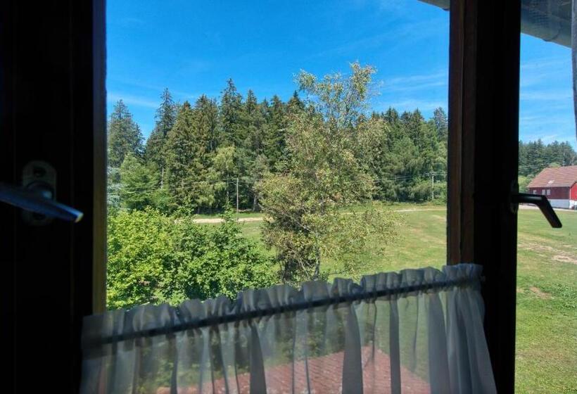 Классический Номер, Landgasthof Zum Schwanen
