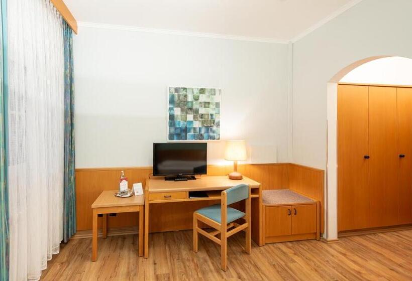 标准单人间, Villa Thea Hotel Am Rosengarten