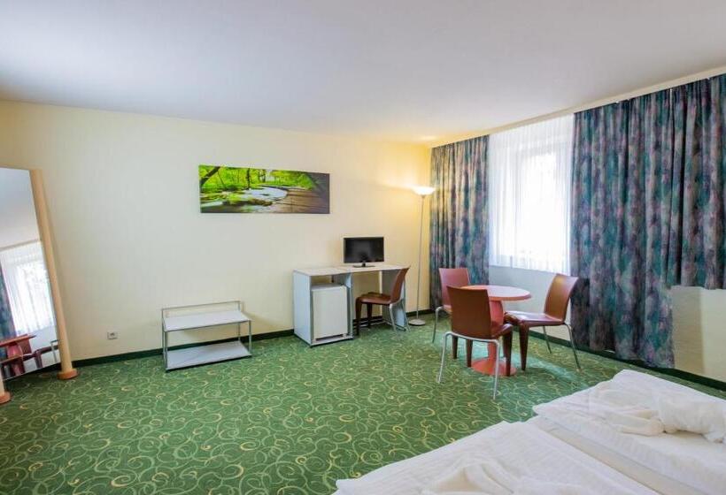 Номер Стандарт Трехместный, Erzgebirgshotel Freiberger Höhe