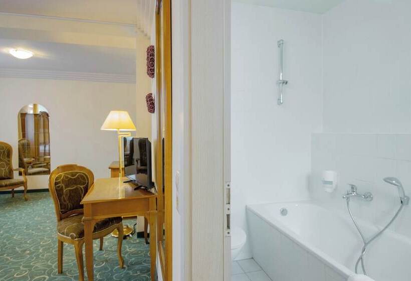 Номер Стандарт, Erzgebirgshotel Freiberger Höhe