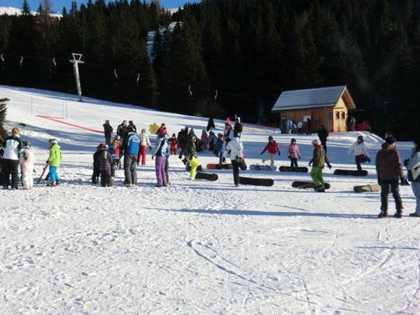 Номер Стандарт с Балконом, Panoramadorf Saualpe