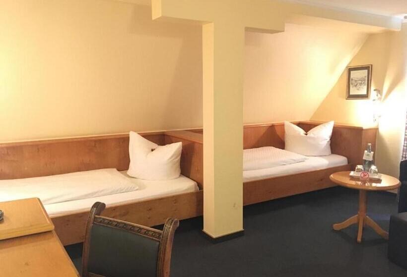 스탠다드 룸, Stadthotel Waldhorn