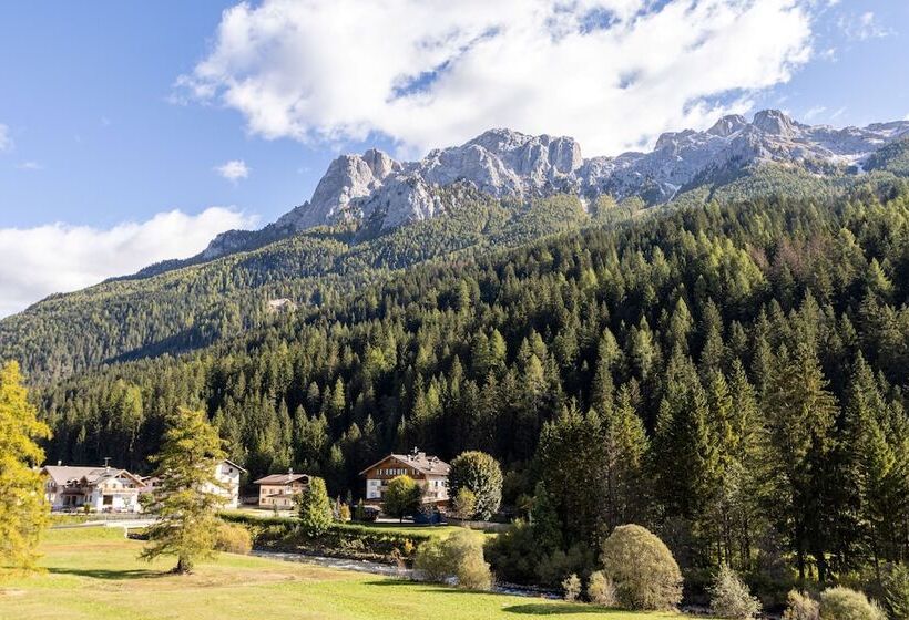 اتاق استاندارد, Wellness Hotel Dolomia