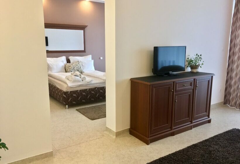 Апартаменты Deluxe 1 Спальня, Garden Hotel Medical & Spa