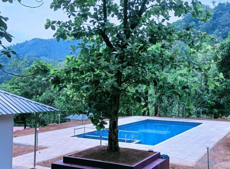 패밀리 룸 산 전망, Forest And River Edge Resort
