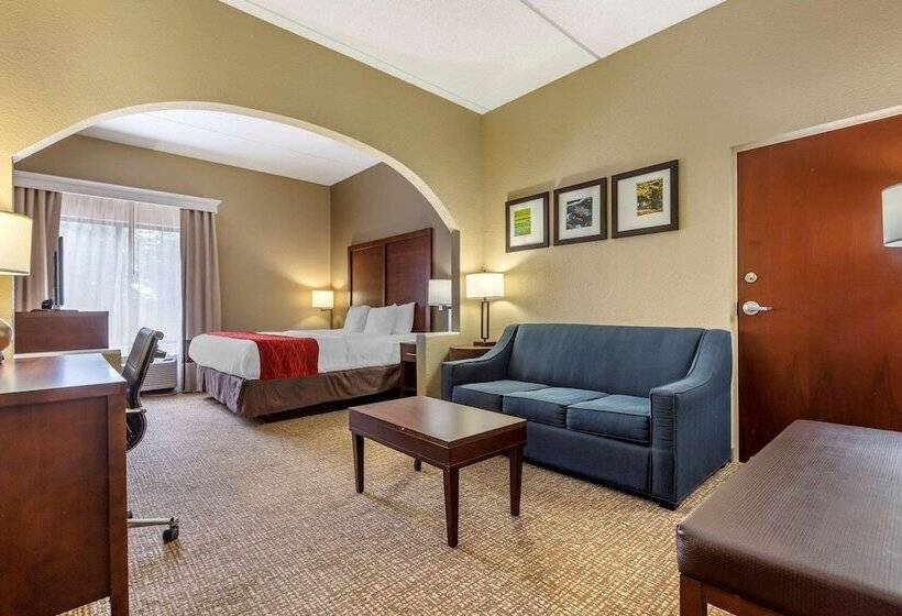 Люкс, Comfort Inn & Suites Mocksville I 40