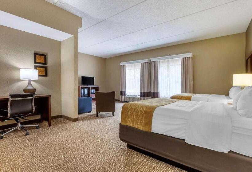 Люкс, Comfort Inn & Suites Mocksville I 40