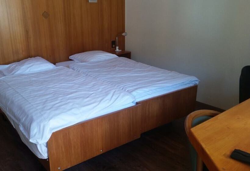 Номер Стандарт, Motel Des Sports Martigny