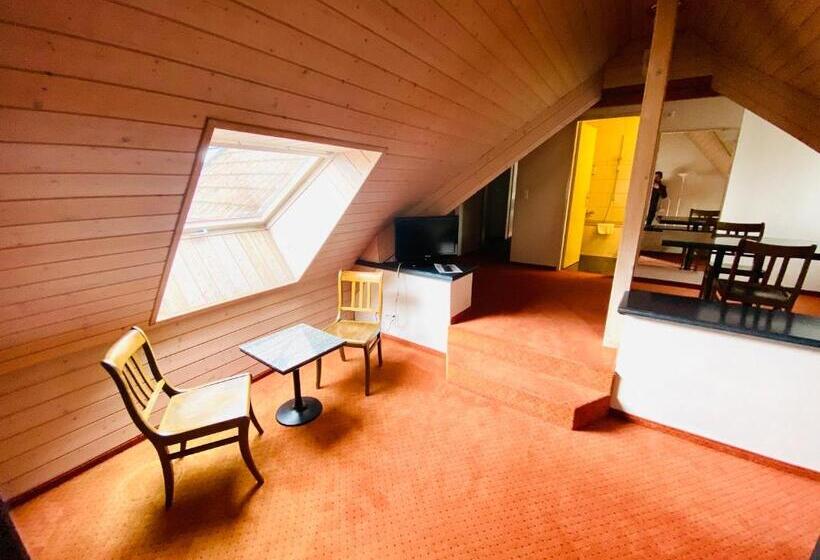Студия Стандарт, Gasthof Kreuz Egerkingen