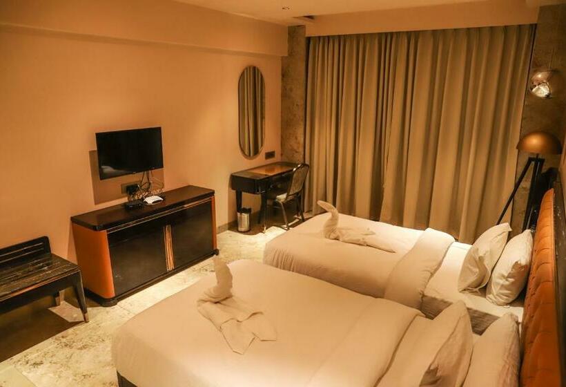 Номер Executive, Vits Bharat Nanded