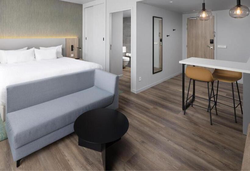 Студио Стандарт Кровать Кинг, Residence Inn By Marriott Paris Charles De Gaulle Central Airport