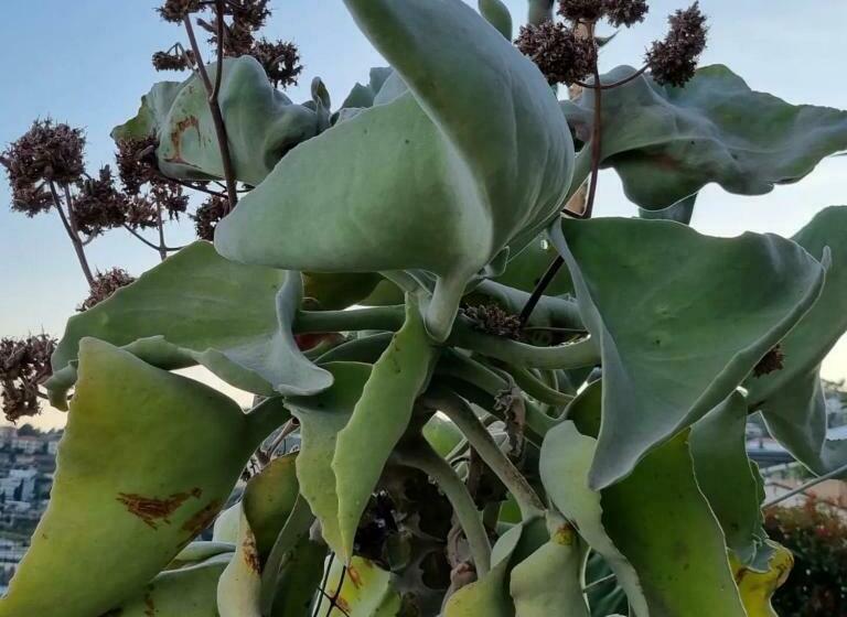 침실 1개 아파트, Agriturismo La Tuffatrice