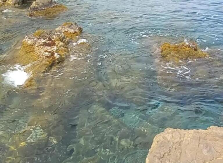 침실 1개 바다 전망 아파트, Agriturismo La Tuffatrice