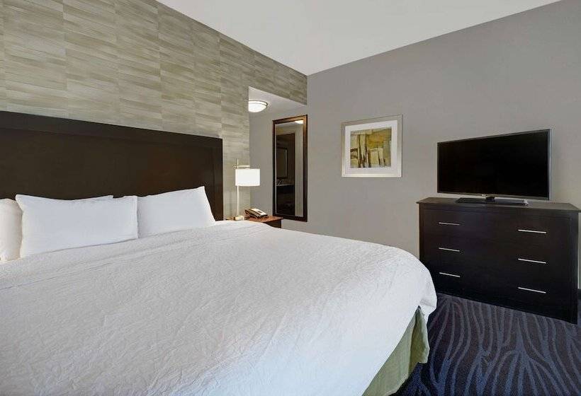 Номер Стандарт Кровать Кинг Адаптированный для Инвалидов, Hampton Inn & Suites Robbinsville