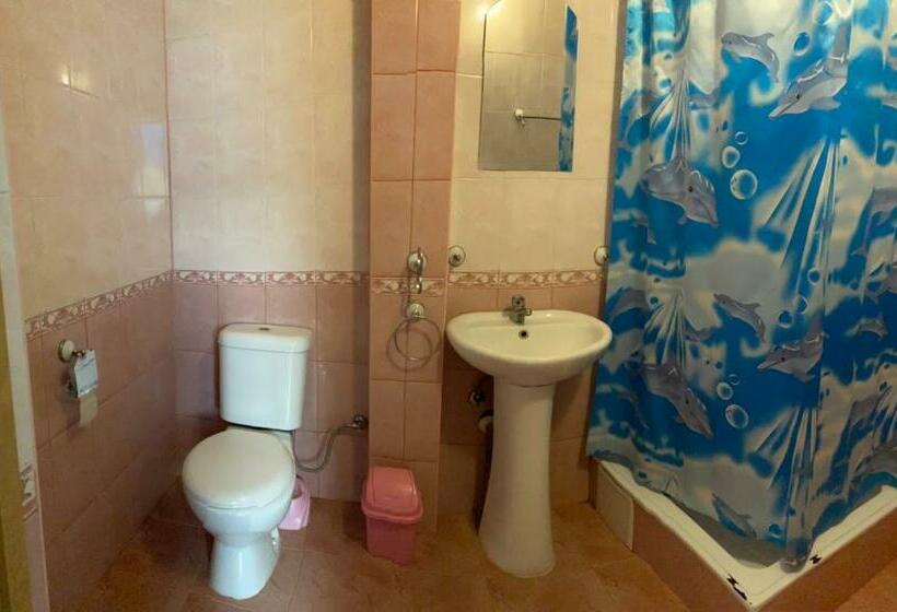Номер Стандарт, атлант