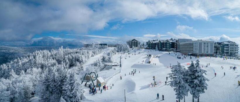 침실 1개 아파트, Stroll To Slopes, Village Area, Ski In Out Mtlodge 294