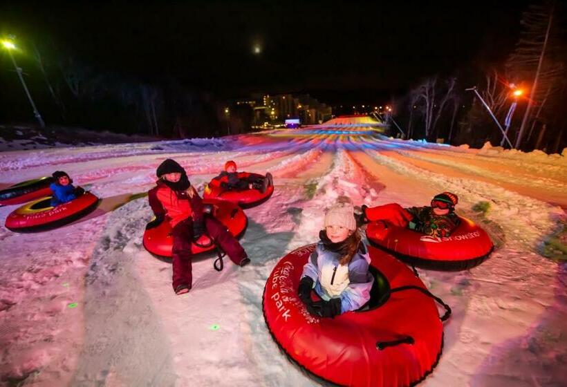 침실 1개 아파트, Stroll To Slopes, Village Area, Ski In Out Mtlodge 294