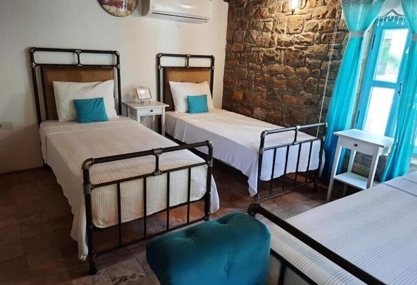 اتاق لوکس چهار تخته, Efli̇n Buti̇k Otel