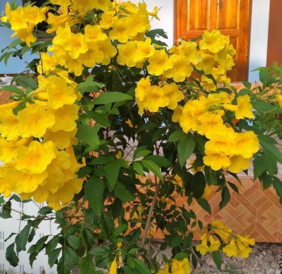 اتاق استاندارد چهار تخته, Yahle Villa เยห์เล่วิลล่า