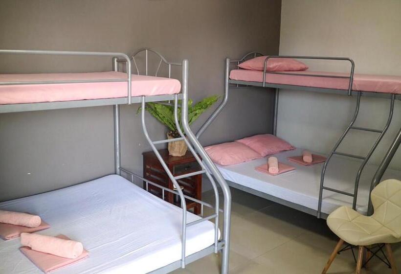 اتاق خانوادگی, Hostel Privado
